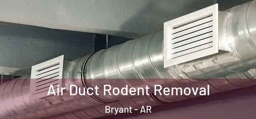 Air Duct Rodent Removal Bryant - AR