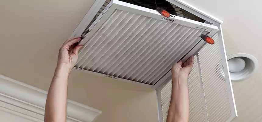 Preventive Cockroach-Proofing for Ducts in Bryant