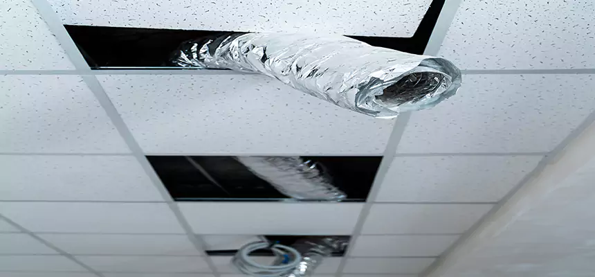 Our Air Duct Pet Hair Removal Services in Bryant, AR