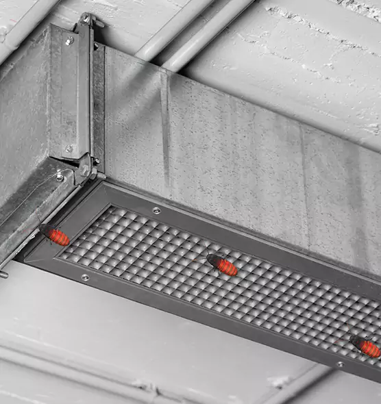 Affordable Insect Removal from Air Ducts in Bryant, AR
