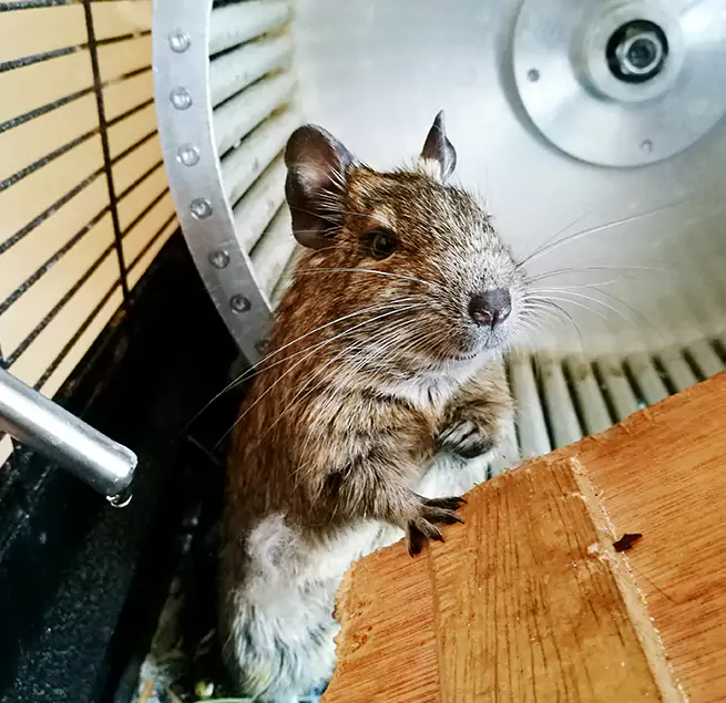 Why Homeowners & Businesses Trust Us Bryant, AR?